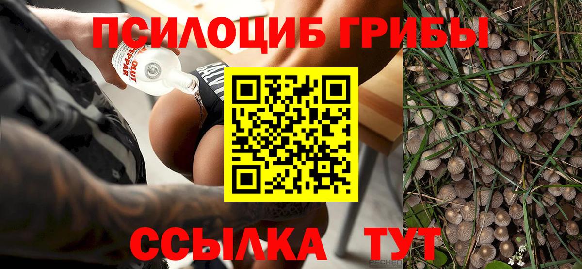 Галлюциногенные грибы Cubensis Москва