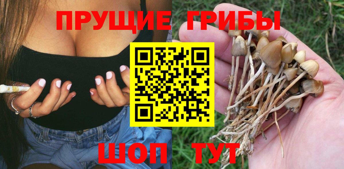 купить  цена  Галлюциногенные грибы MAGIC MUSHROOMS  Вход с VPN  Москва 